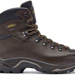 Amazon.com | Asolo TPS 520 GV Evo Hiking Boot | Hiking Boo