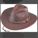 Henschel Hats Accessories | March Sale Henschel Hat | Poshma