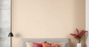 24 Vibrant Bedroom Accent Wall Ideas to Add a Fresh Pop of Color to Your Space