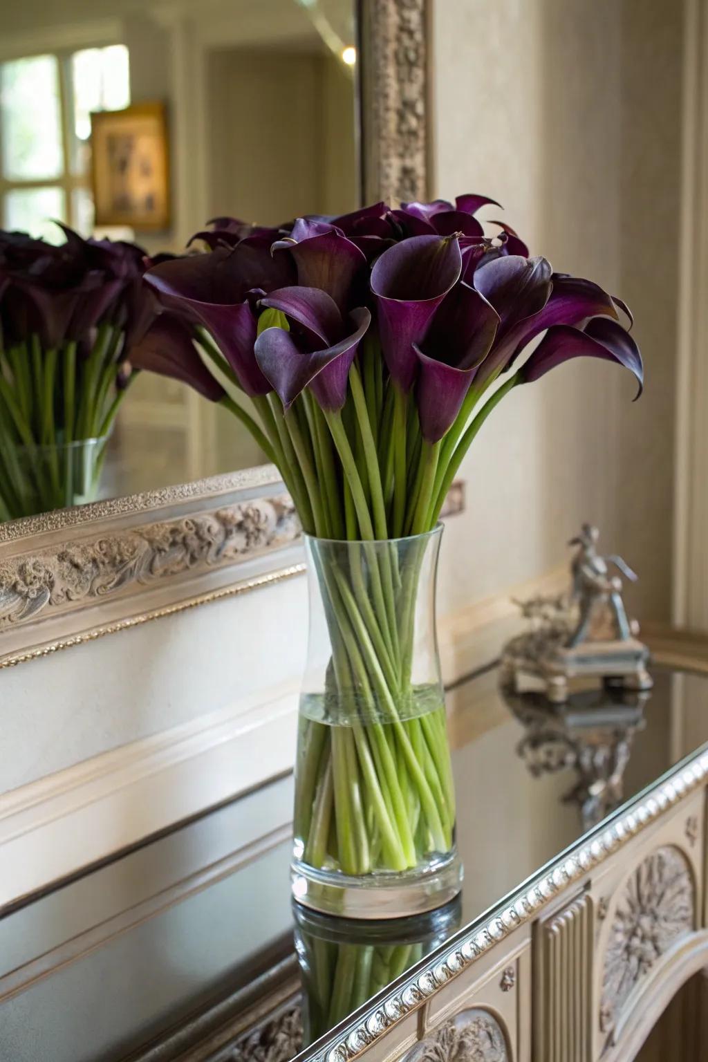 Deep-hued blooms contributing intrigue to a dwelling space setting.