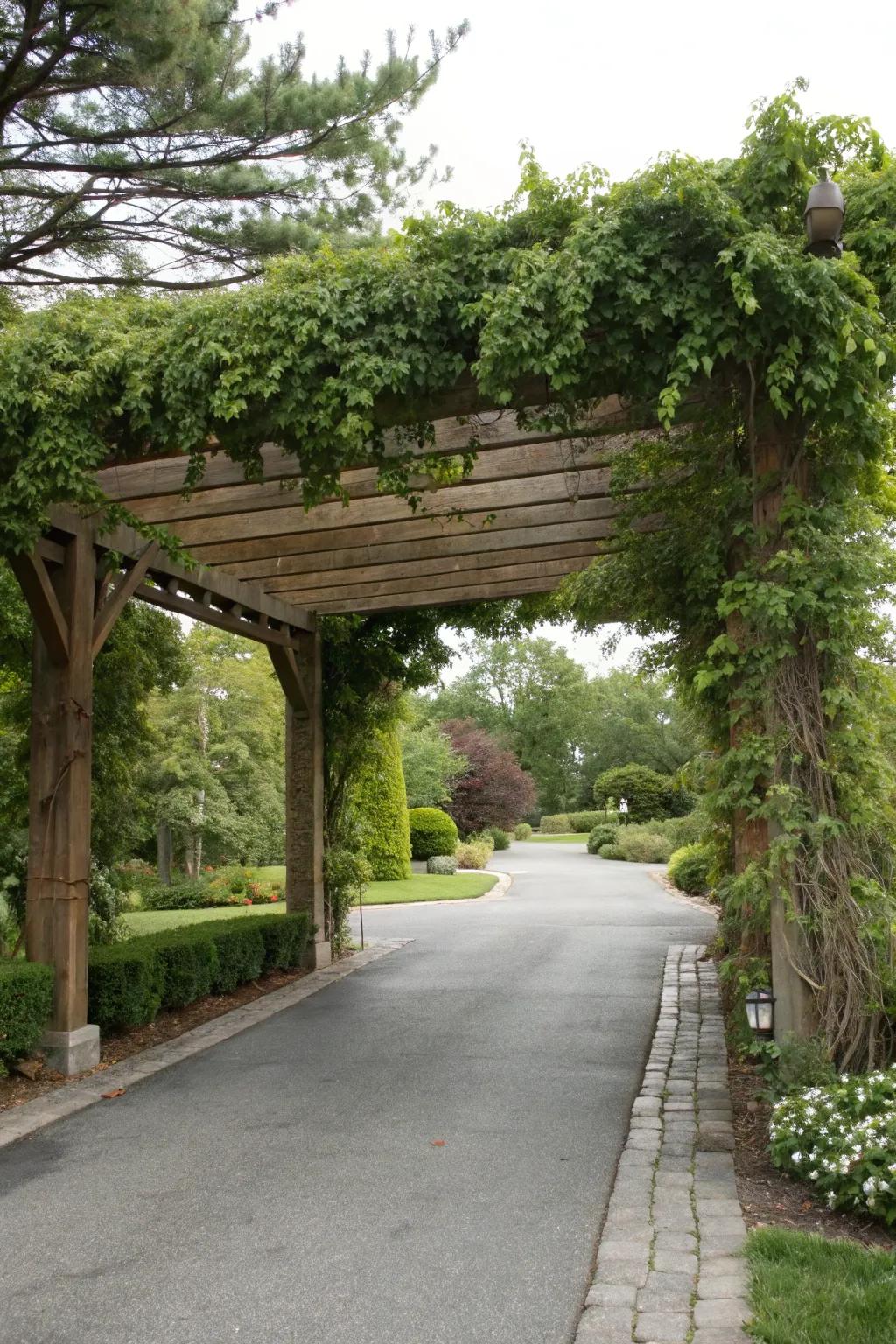 A garden structure adds architectural interest and elegance to this entry.