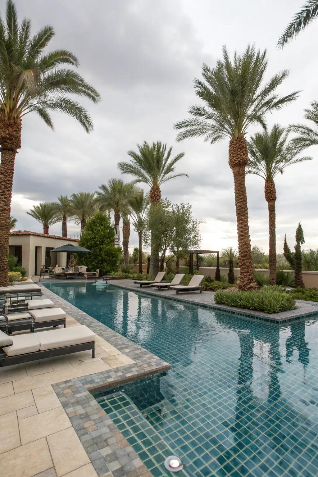 Opulent swimming pool in a Las Vegas backyard complete with modern loungers.