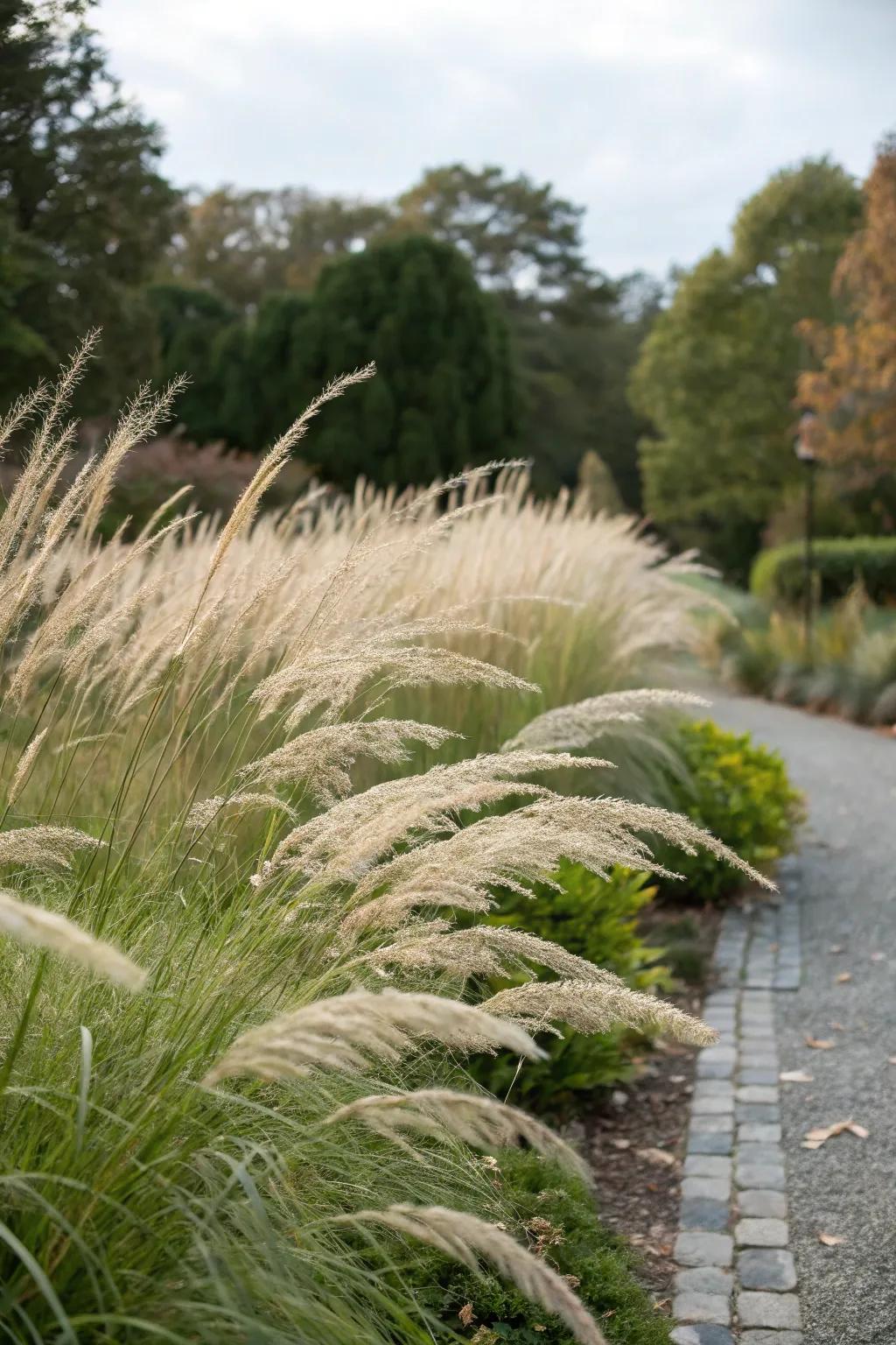 Ornamental grasses bring grace and motion to borders.