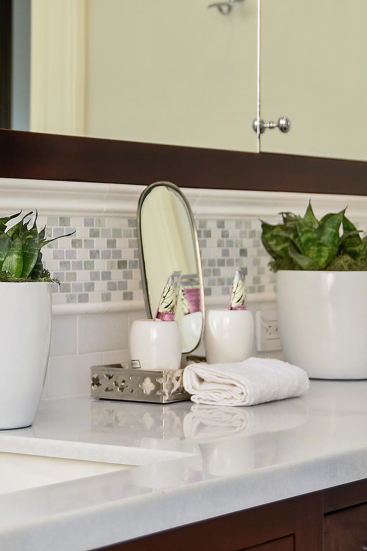 A bathroom countertop featuring plants, a mirror, and neatly arranged toiletries.