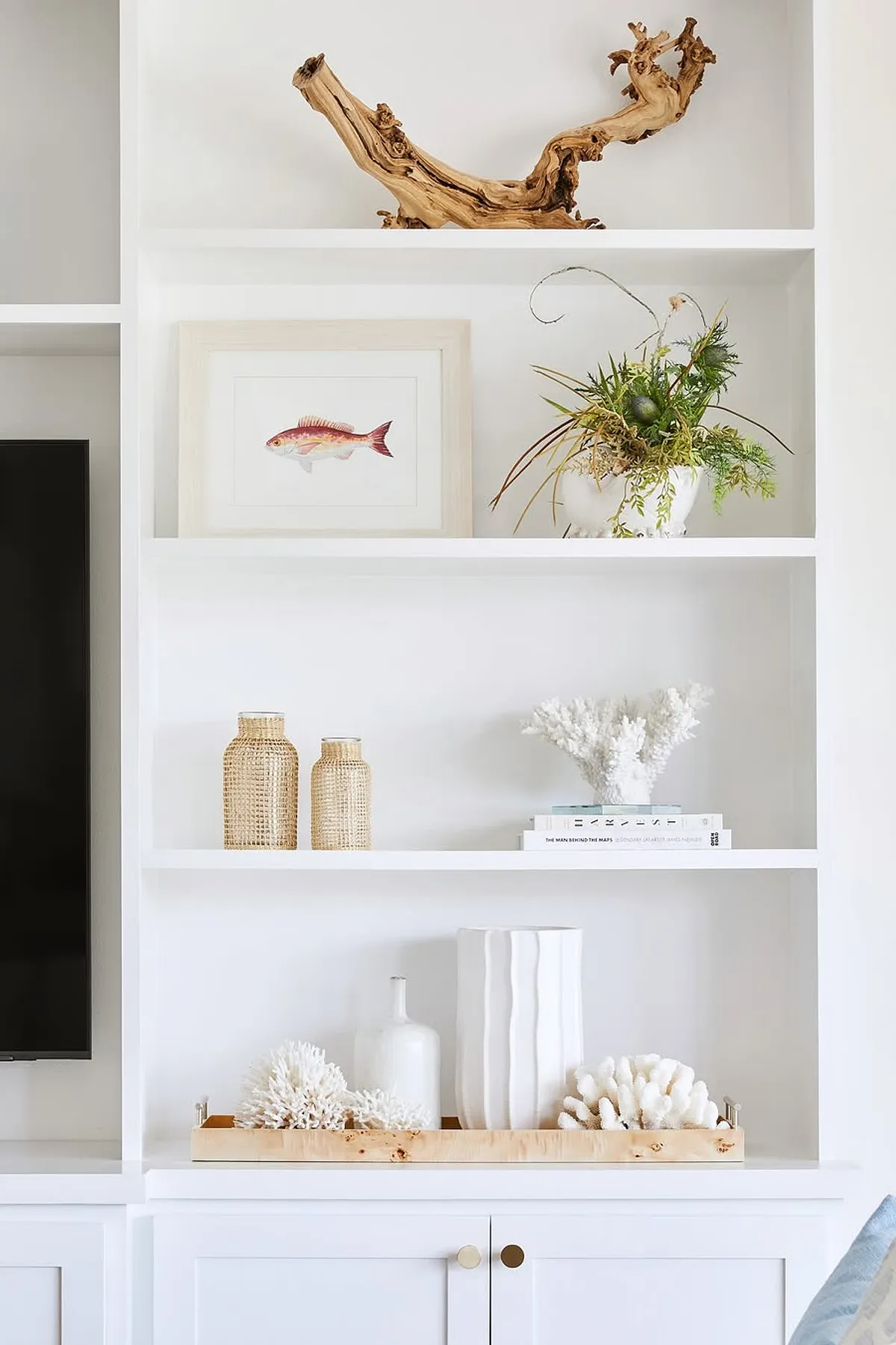 Stylish shelf featuring driftwood, coral decor, vintage fish artwork, woven vases, and white ceramics.