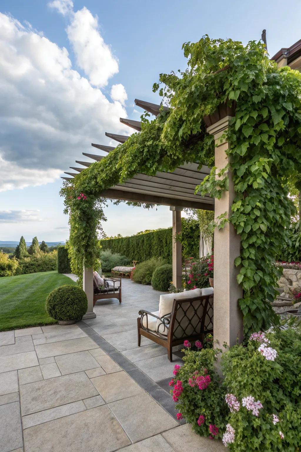 A pergola provides shade and a structure for gorgeous climbing plants.