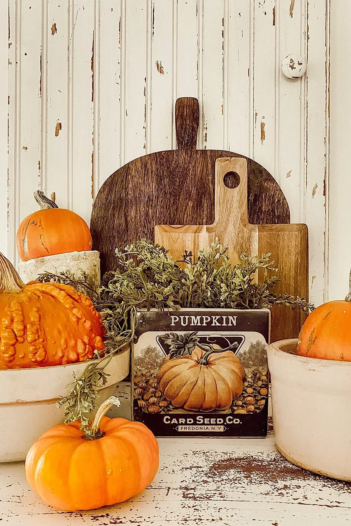 Mini orange pumpkins displayed inside rustic white ceramic pots with two wooden cutting boards behind them and a vintage-style pumpkin seed packet box nestled among greenery on a distressed white surface.