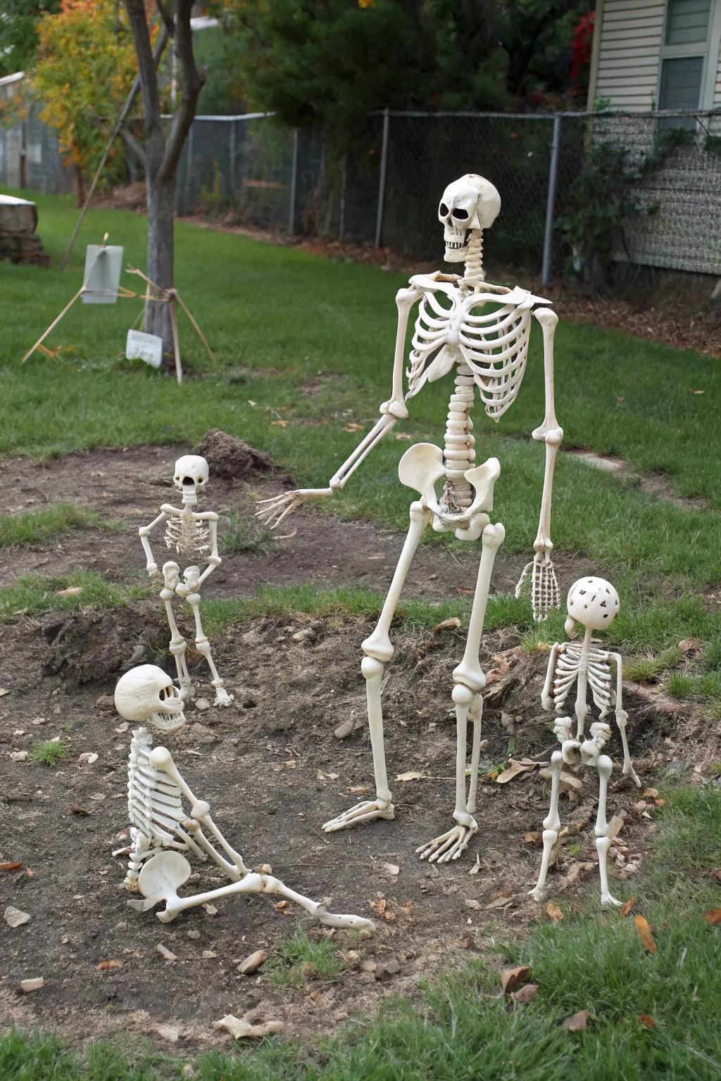 A kinfolk of skeletons gathers for Halloween enjoyment.