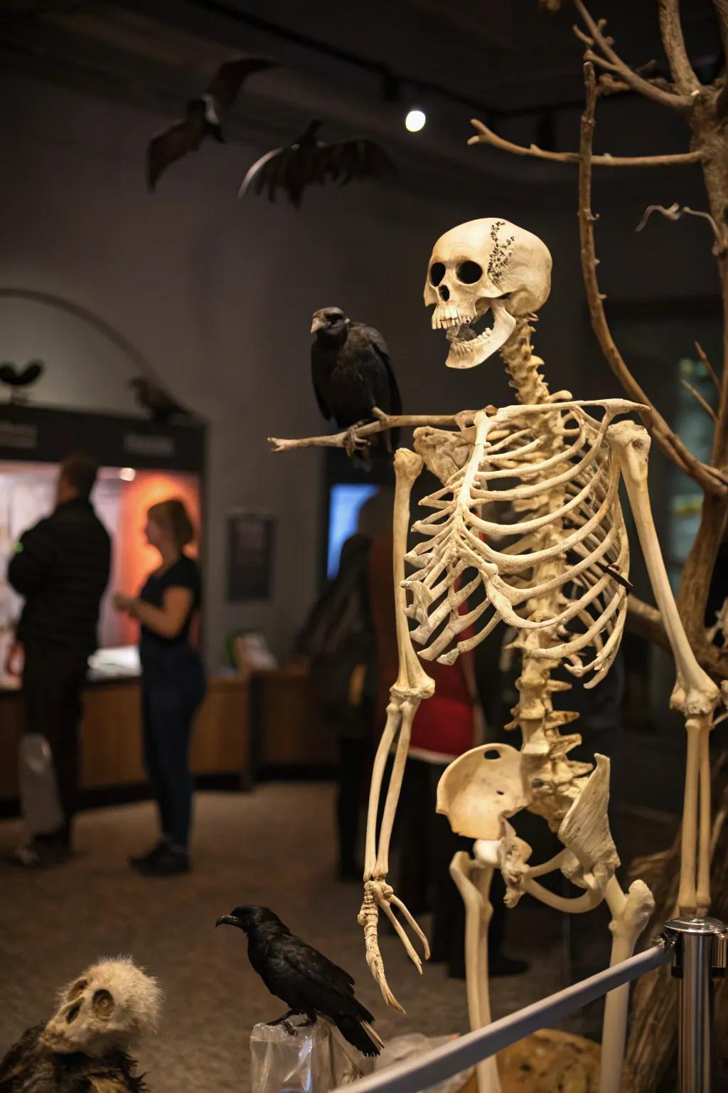 Animal friends add a playful element to the skeleton display.