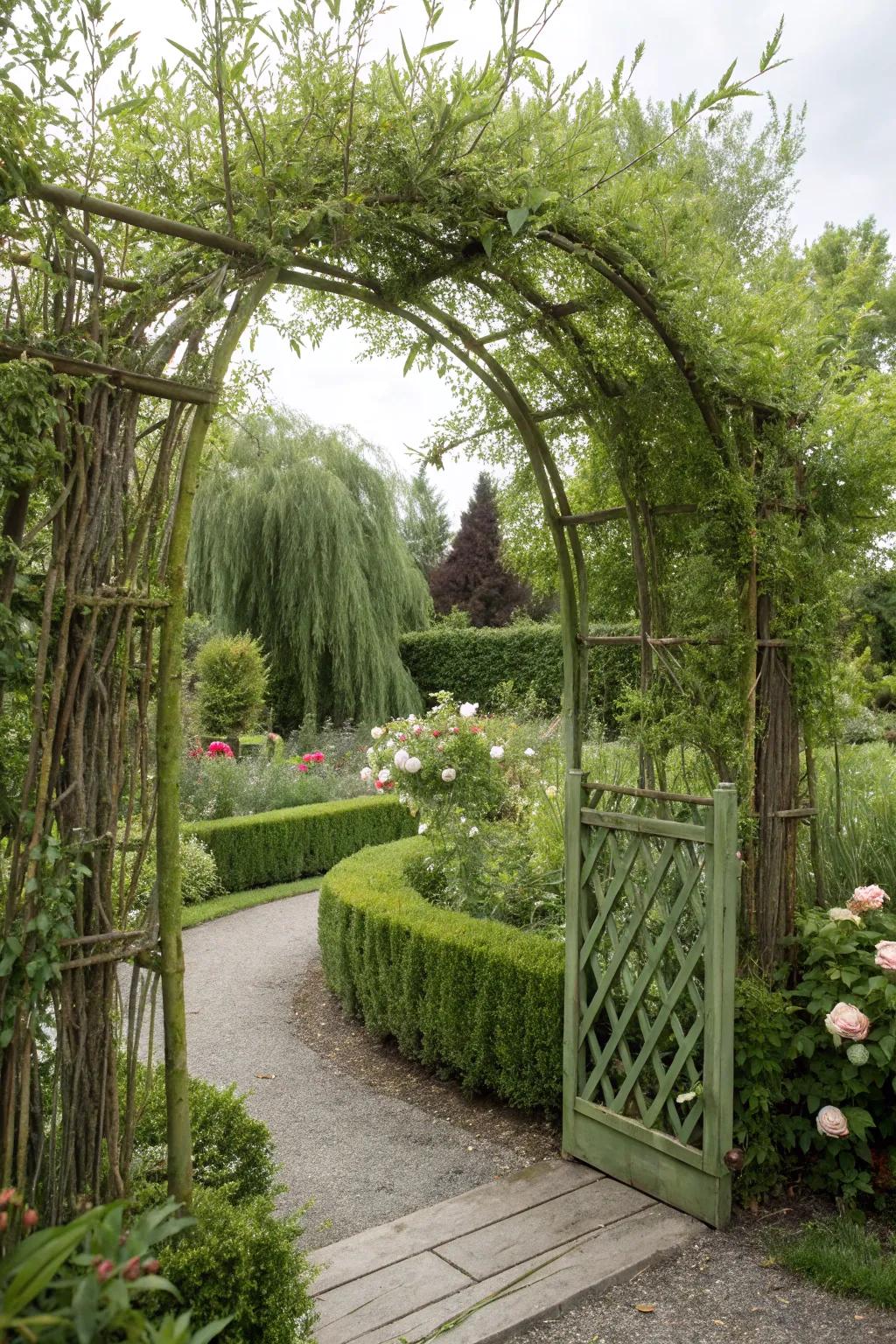 A living willow gateway blending naturally with the garden.