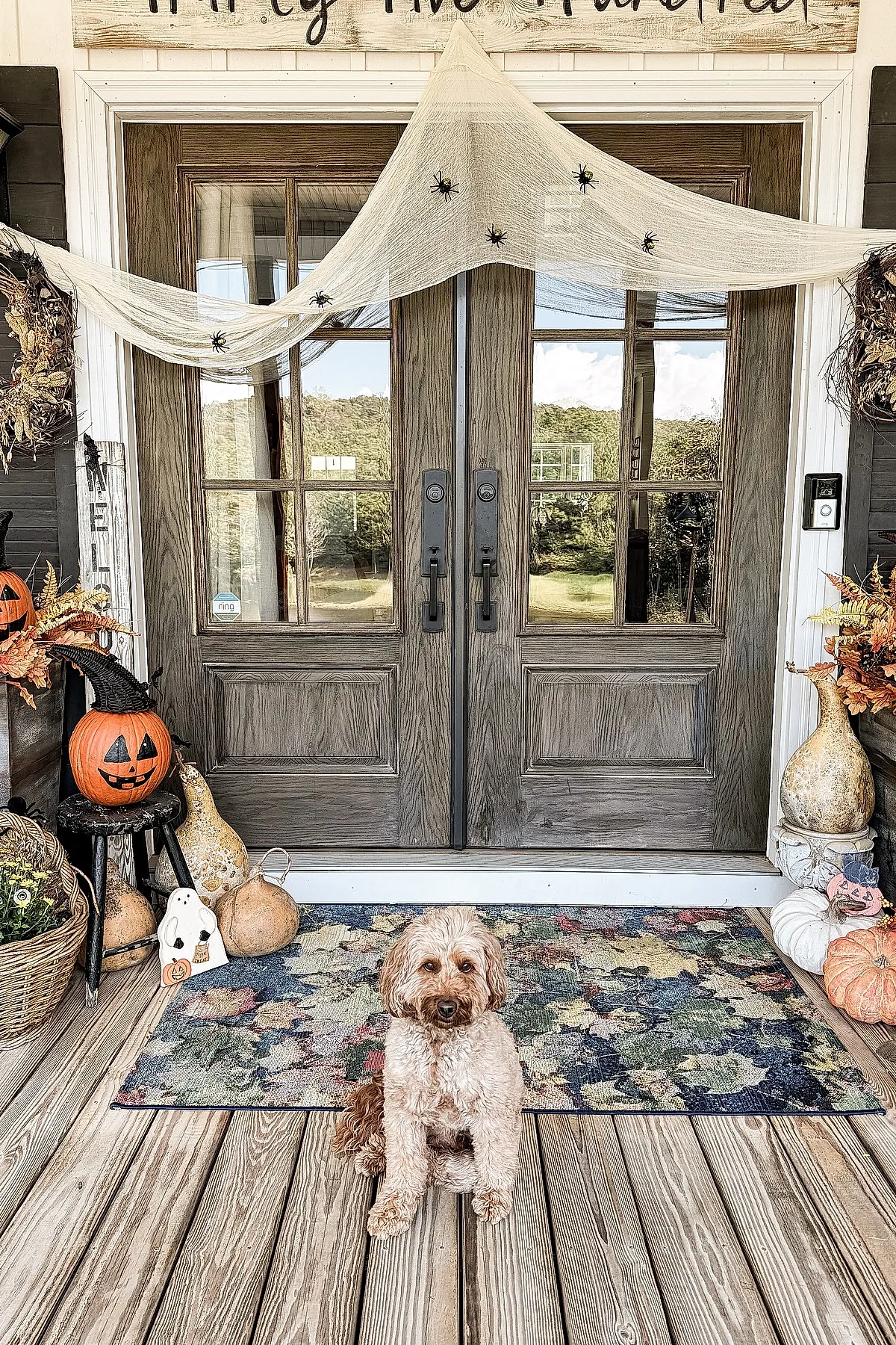 wooden double doors decorated with draped white cheesecloth featuring black plastic spiders alongside orange carved pumpkin, dried gourds, autumn leaves, and floral arrangements on porch