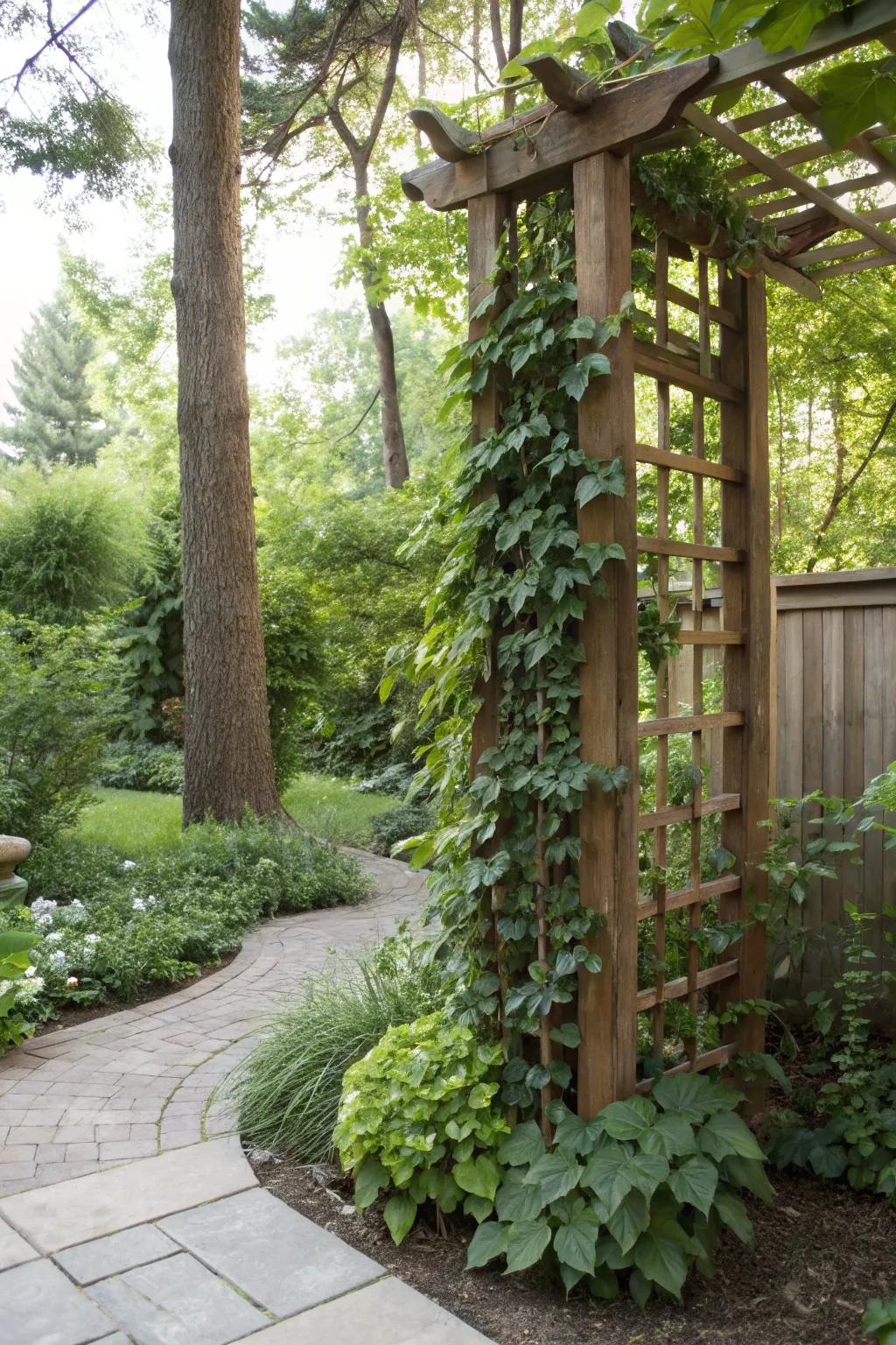 An upright yard brings life to restricted rooms.
