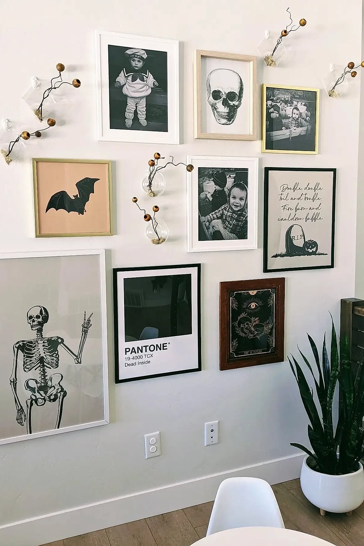 Gallery wall featuring black and white framed prints including skeletons, skulls, bats, vintage photos, handwritten text art, and small clear wall-mounted vases holding dried branches with round seed pods against a white wall.