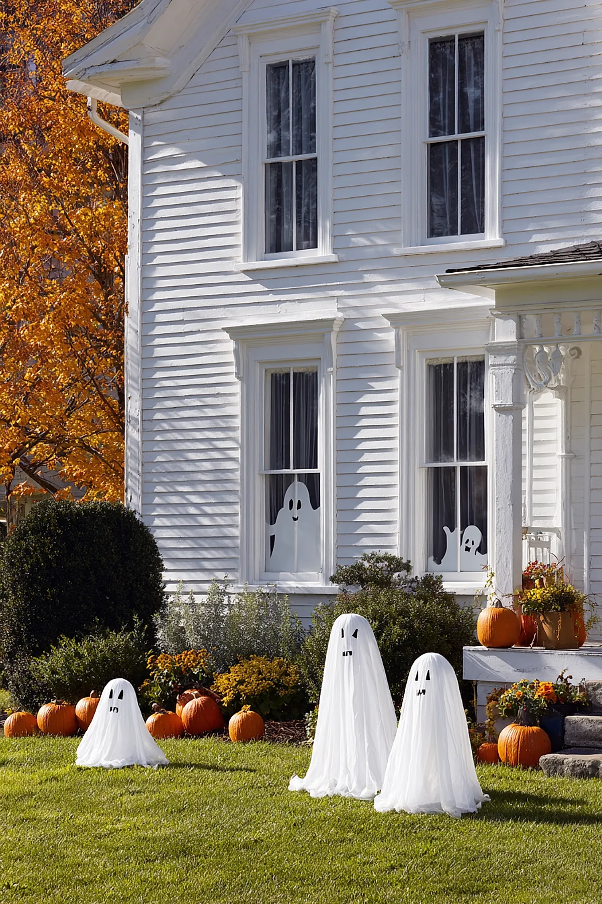 White house with two windows featuring white ghost cutouts, yard decorated with three fabric ghost figures floating over green grass, surrounded by multiple orange pumpkins and autumn plants.