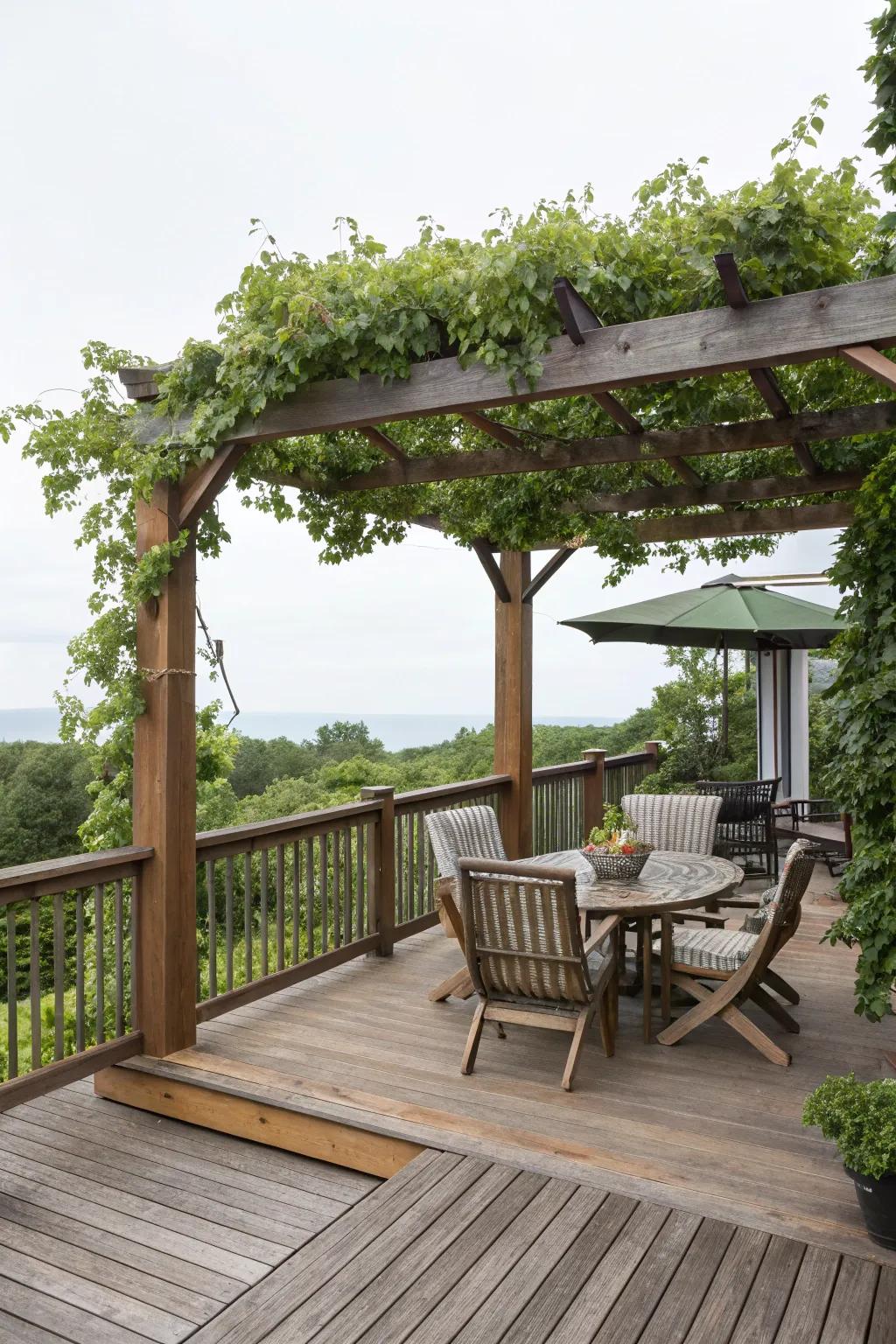 A deck with a pergola, delivering shade and architectural interest.