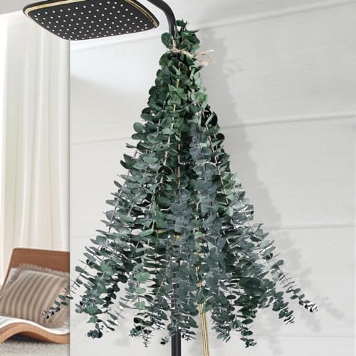 Dried Eucalyptus or Pampas Grass