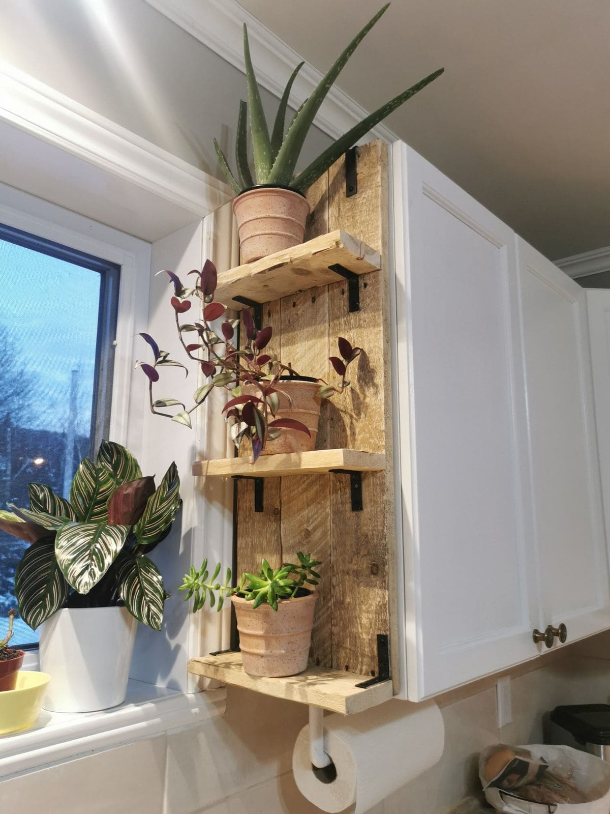 Vertical Rustic Plant Shelf