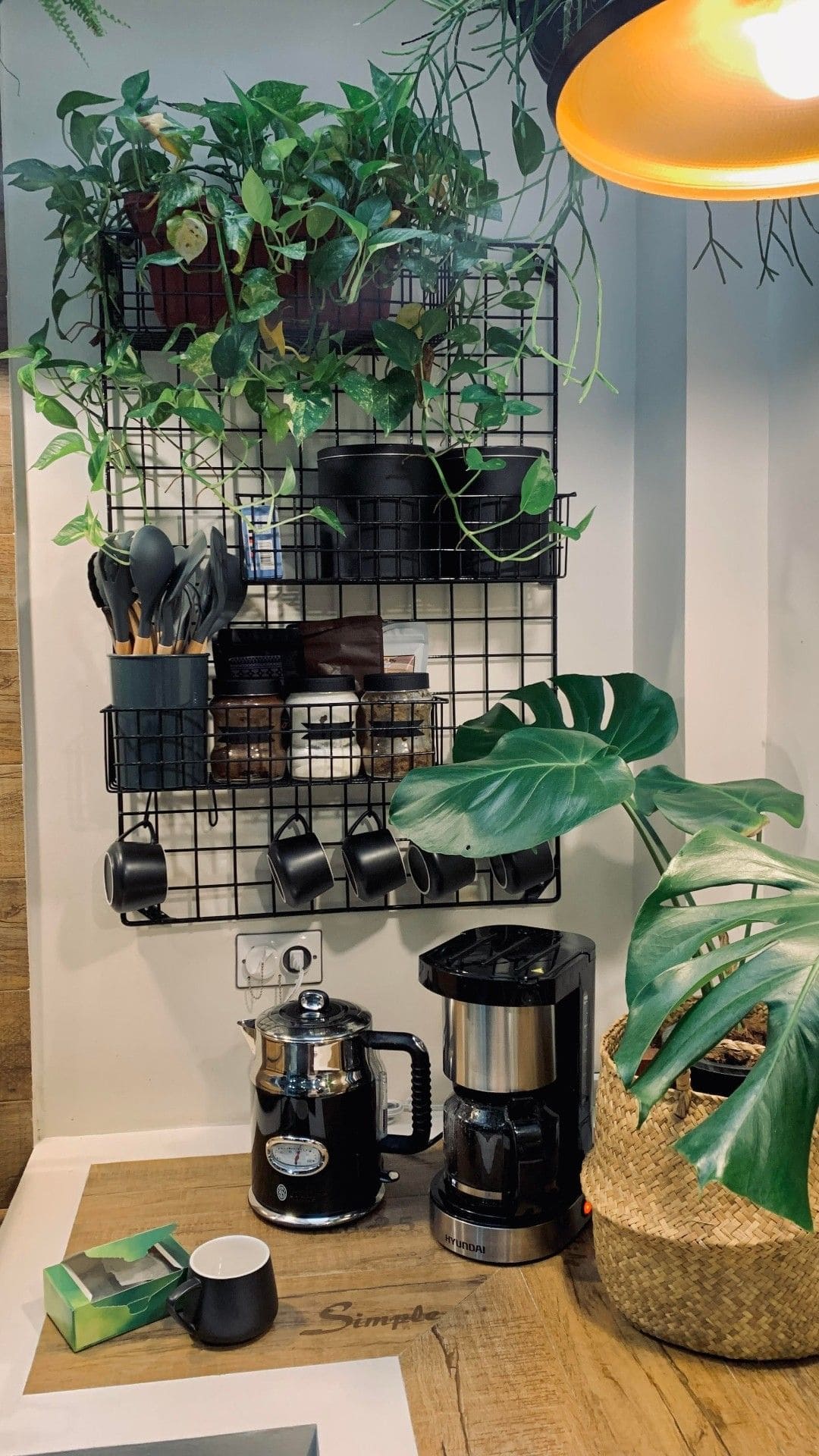 Lush Green Coffee Corner