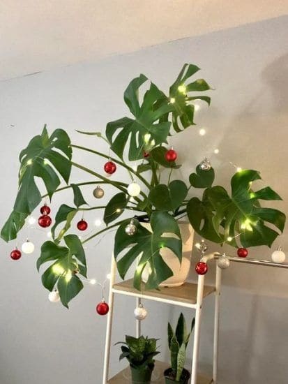 Monstera Christmas Planter with Ornaments