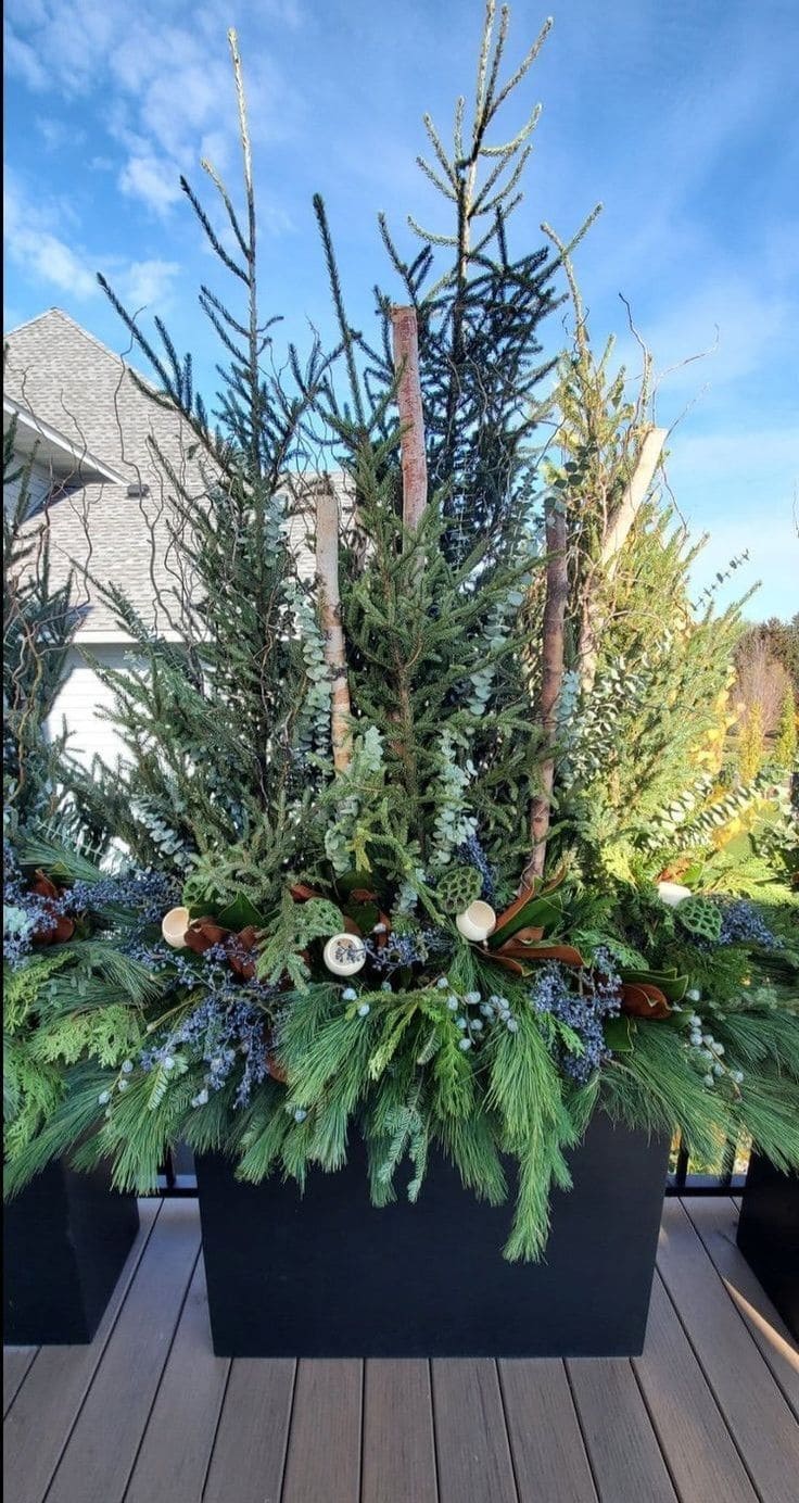 Evergreen Birch Branch Christmas Planter