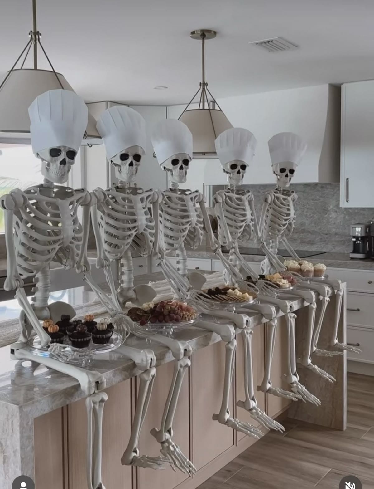 Bone Appetit Chef Squad