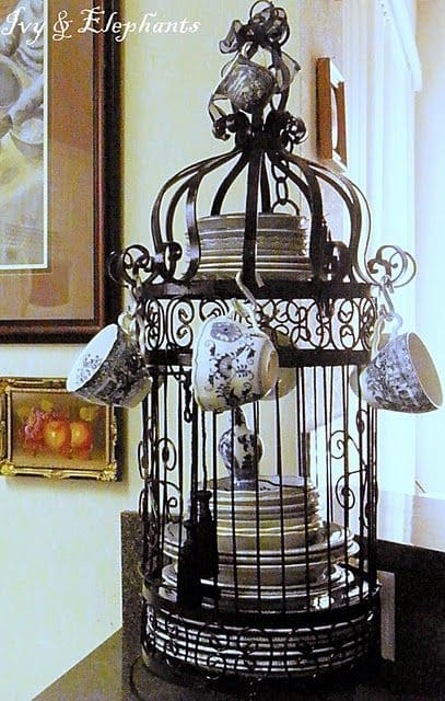 Stylish Birdcage Dish Display