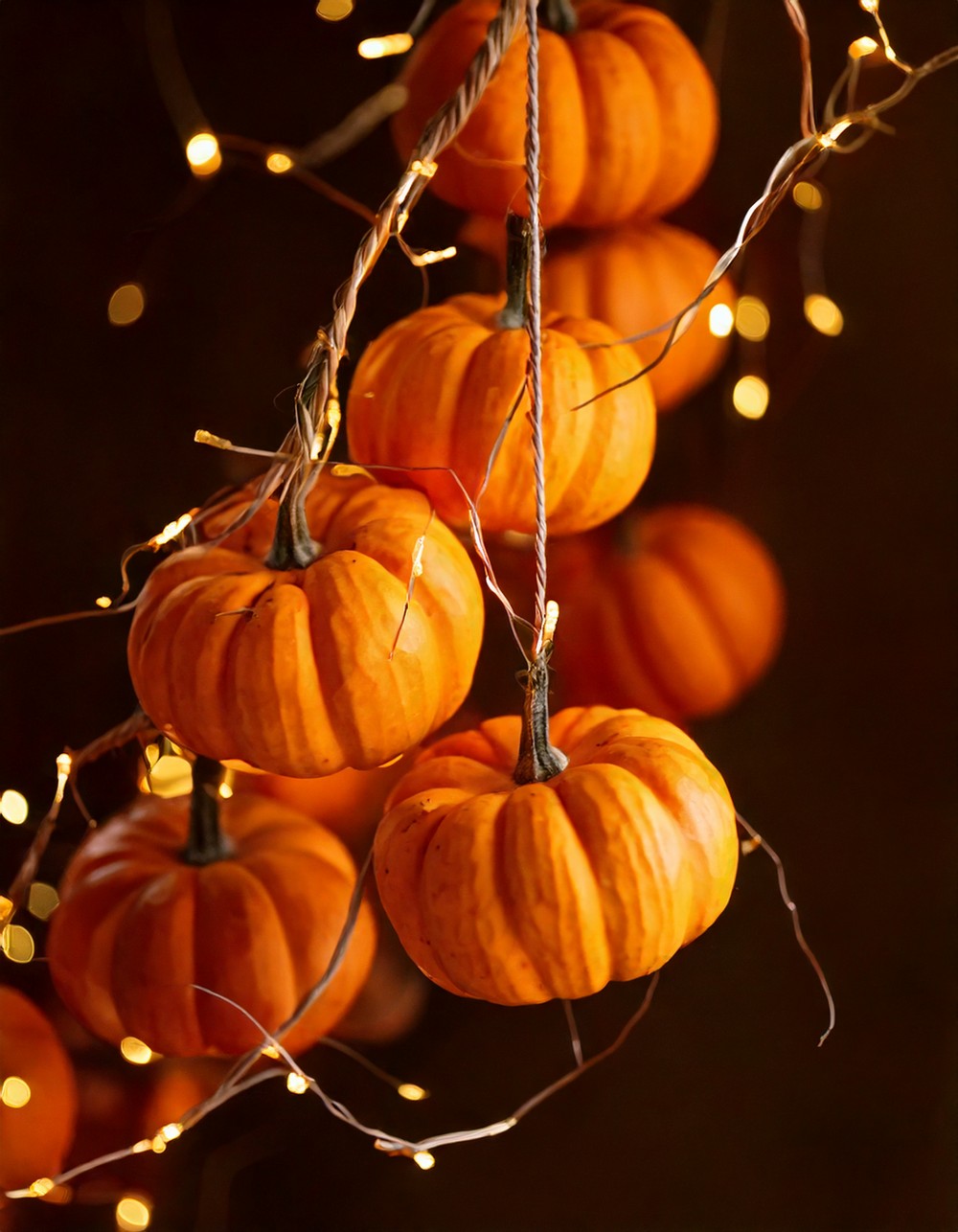 Mini Pumpkin String Garland