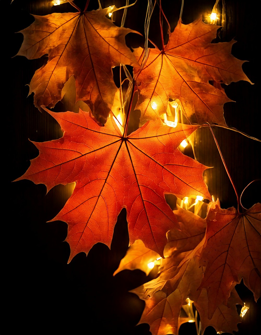 LED Lighted Maple Leaf Garland