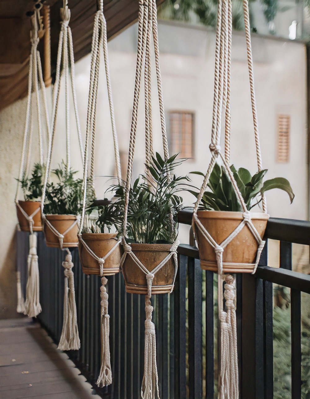 Hanging Macrame Planters