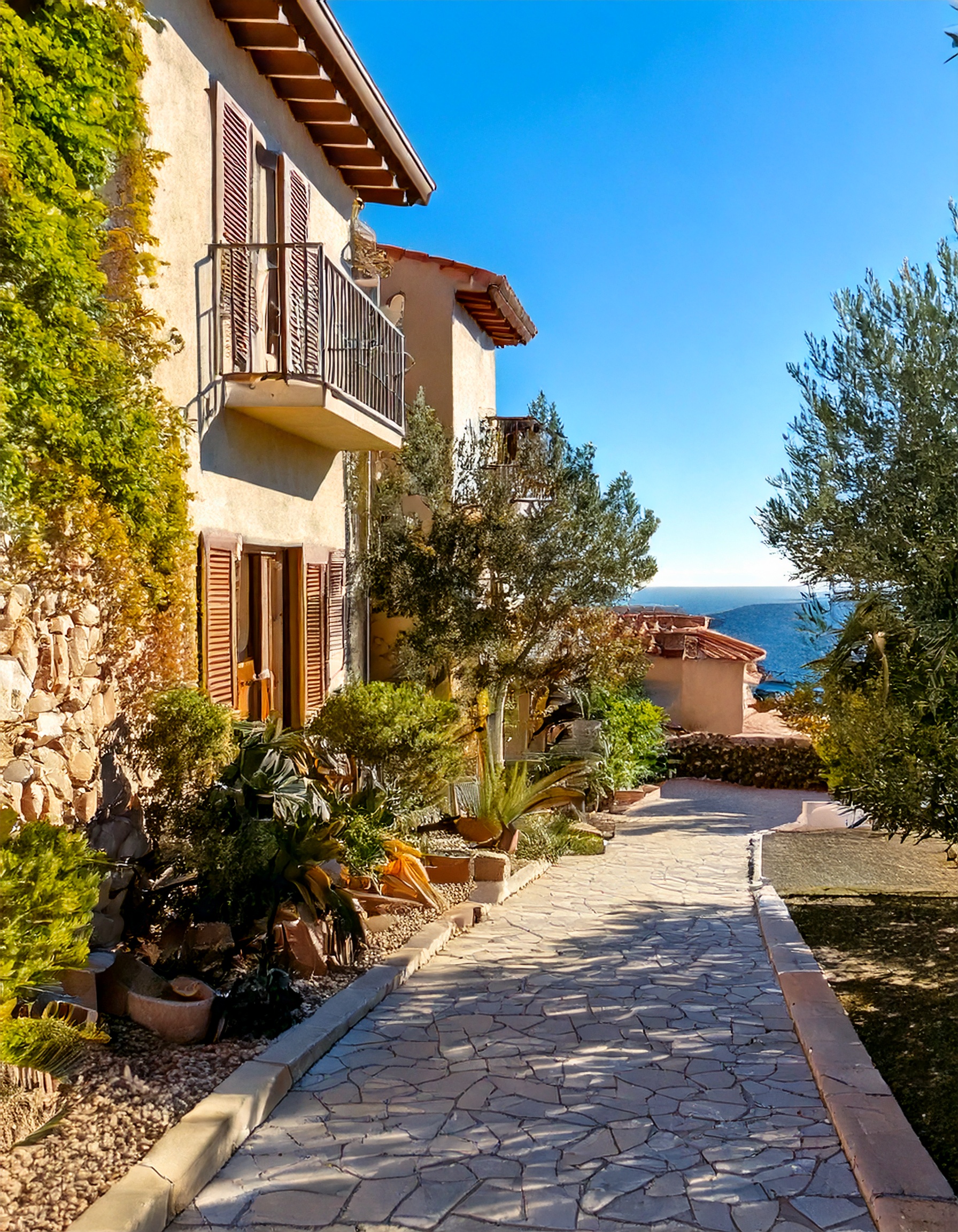 Olive Grove Mediterranean Home