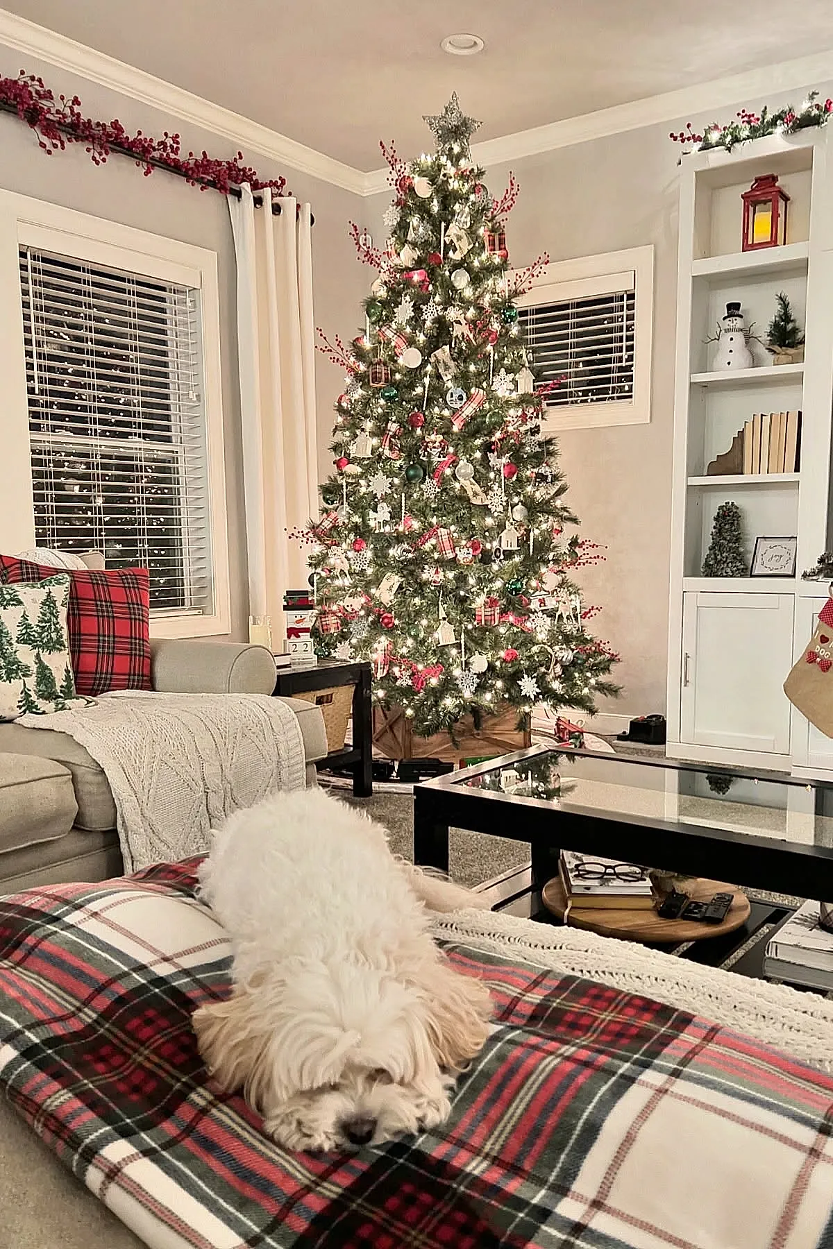 A traditional christmas tree decorated with red plaid ribbon bows, red berry sprigs, white snowflake ornaments, warm white string lights in a neutral living room with plaid pillows on a beige sofa and a small dog resting on a tartan blanket.