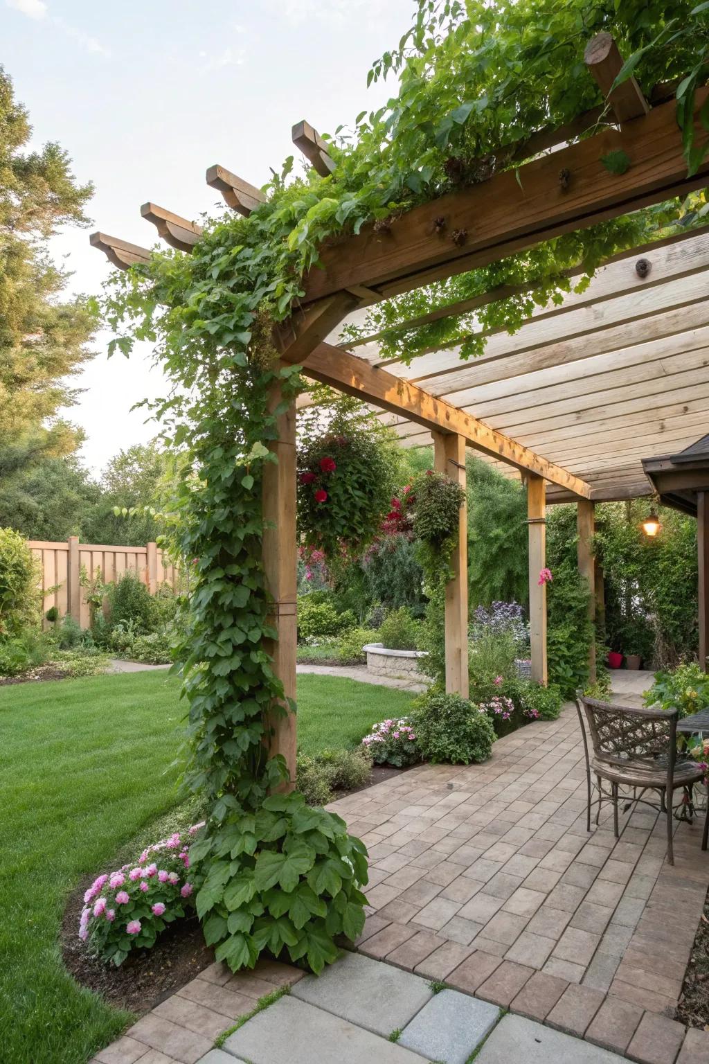 Transform Your Backyard with These Creative Oasis Ideas